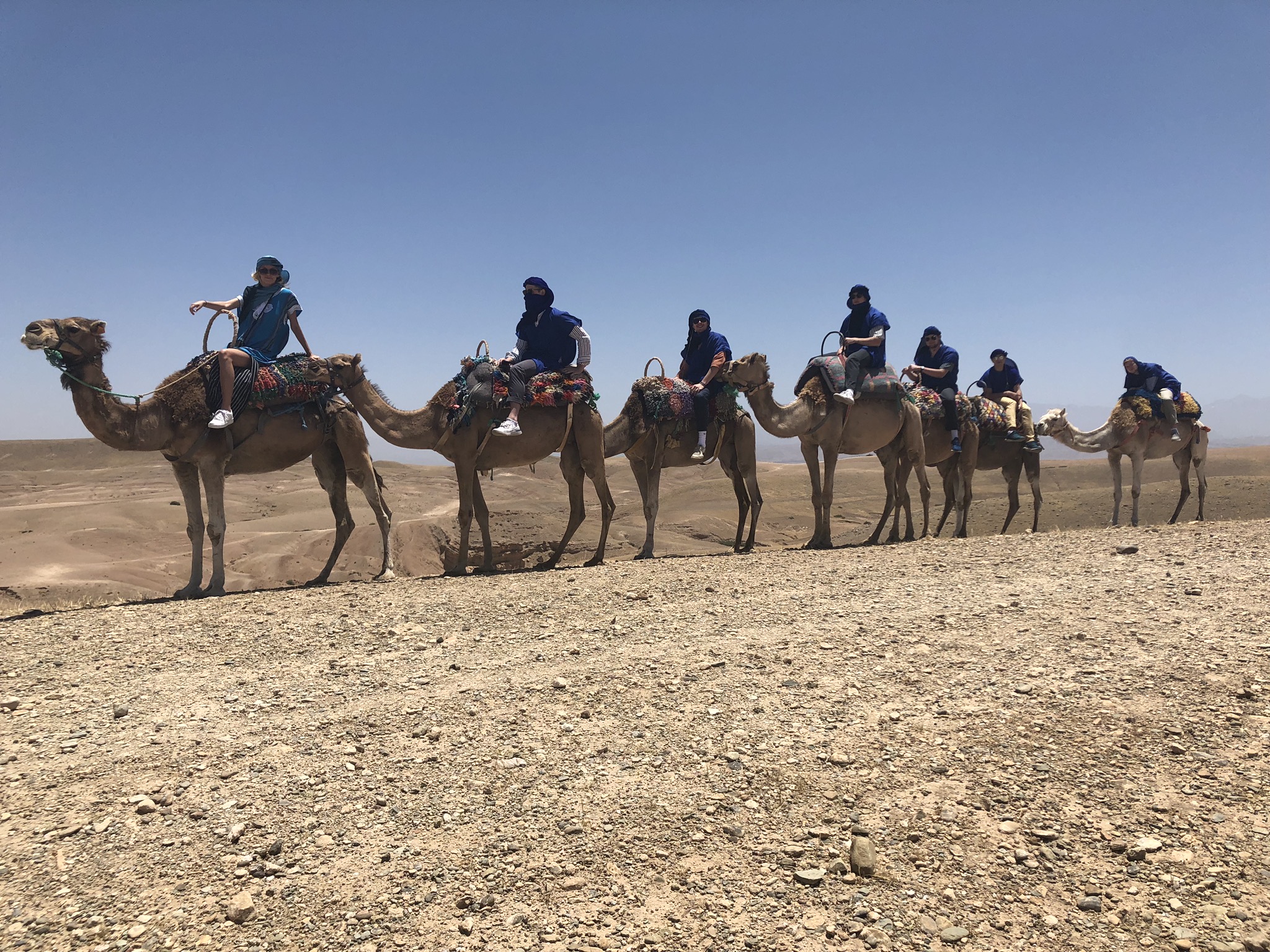 Camel caravan in the desert, Morocco